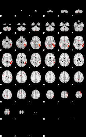 Patients 29218 9