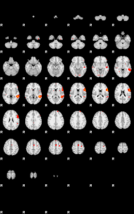 Patients 29430 109