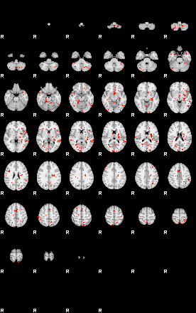 Patients 29633 40