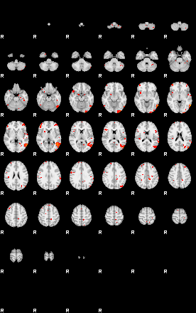 Patients 29733 9