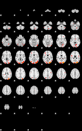 Patients 29113 7