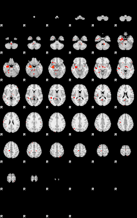 Patients 28800 3