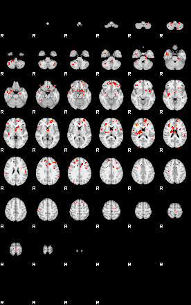 Patients 29039 197