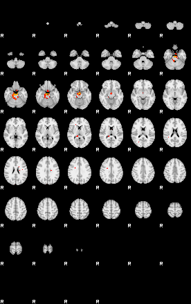 Patients 29152 41