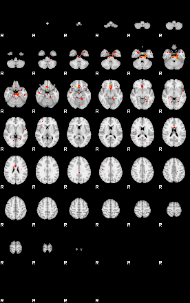 Patients 29183 13