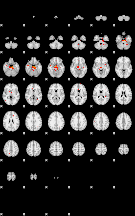 Patients 29184 42