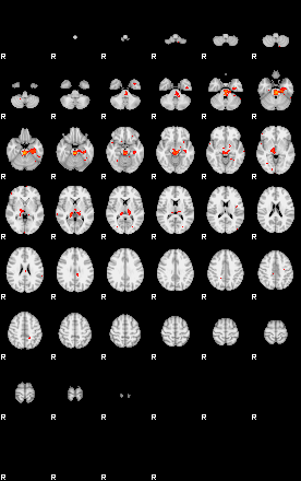 Patients 29216 103