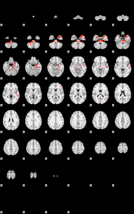 Patients 29562 97