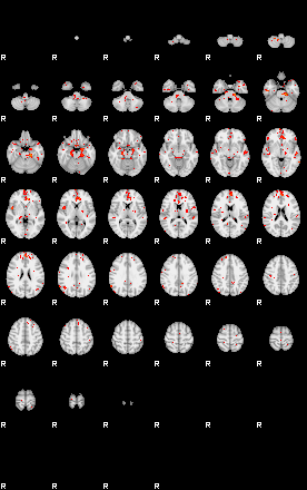 Patients 29610 20