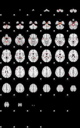 Patients 29629 21