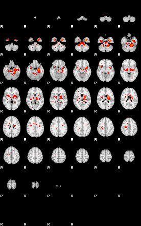 Patients 29731 100