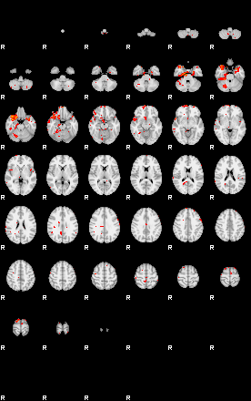 Patients 29734 30