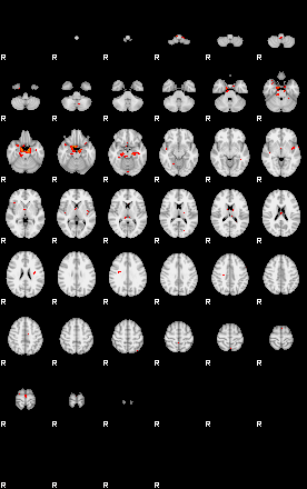 Patients 29736 96