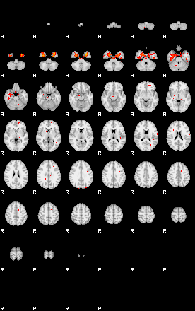 Patients 29797 24