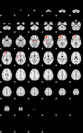 Patients 29012 48