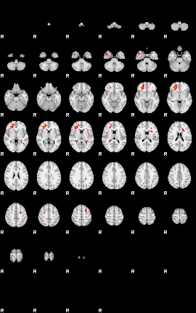 Patients 29013 129