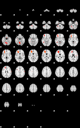 Patients 29070 21