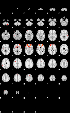 Patients 29109 149