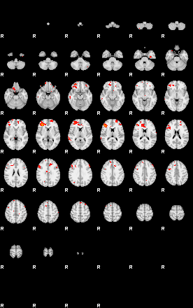 Patients 29217 194