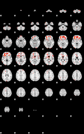 Patients 29511 36