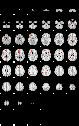 Patients 29516 109