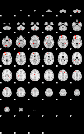 Patients 29730 134