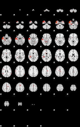 Patients 29037 107