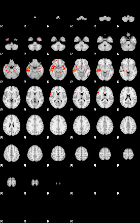 Patients 29101 81