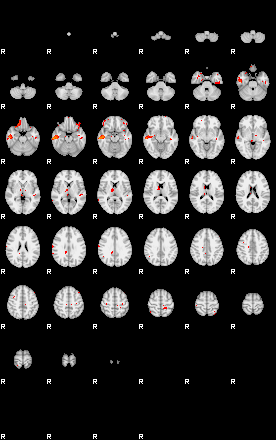 Patients 29151 161