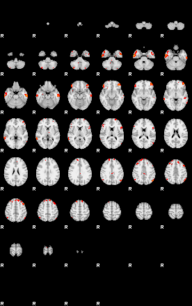 Patients 29667 14