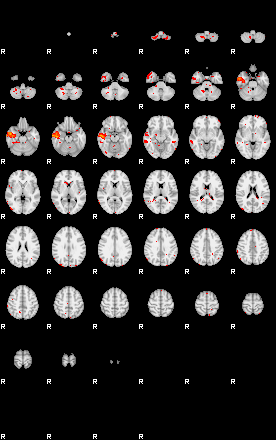 Patients 29734 5