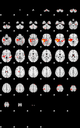 Patients 29890 45