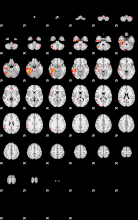 Patients 30177 4