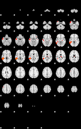 Patients 29344 133