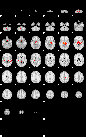 Patients 28866 45