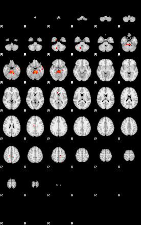 Patients 29114 102