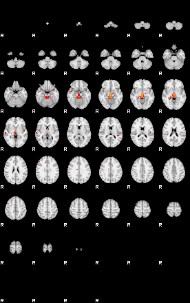 Patients 29176 47