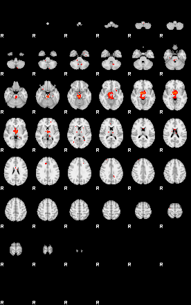 Patients 29209 102