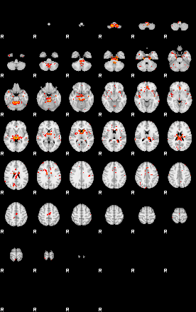 Patients 29549 127