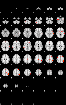 Patients 28941 96