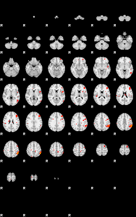 Patients 29156 10