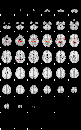 Patients 29109 53