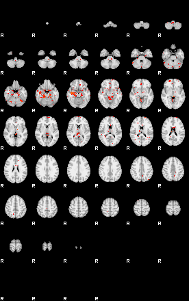 Patients 30018 134