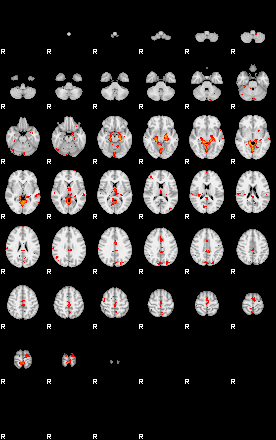 Patients 29185 24