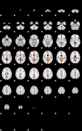 Patients 29206 131