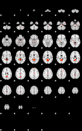 Patients 28820 136