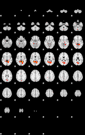 Patients 29105 172