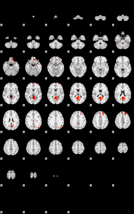 Patients 29157 124