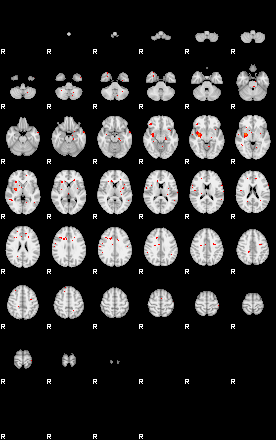 Patients 29497 44