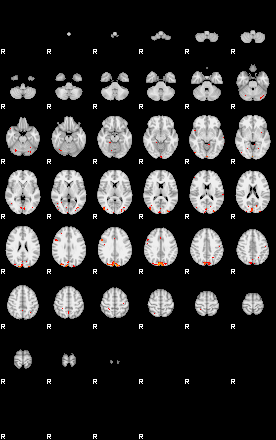 Patients 29506 12